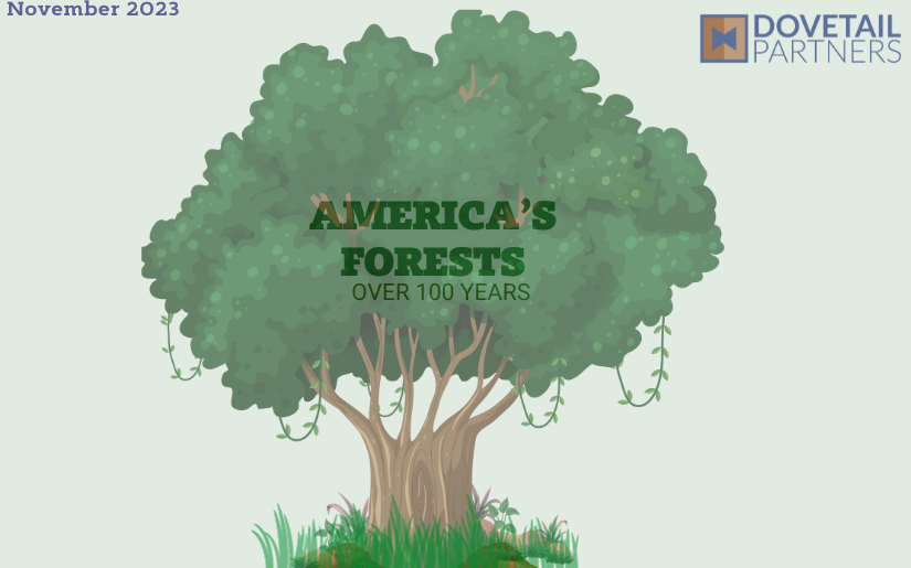 America's Forest: Over 100 Years Infographic